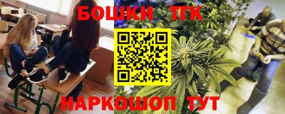 крисы Обь