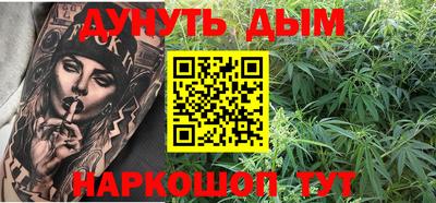 крисы Обь