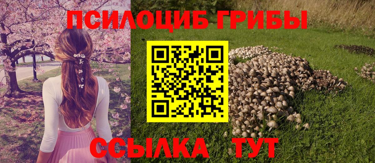 Галлюциногенные грибы Санкт-Петербург