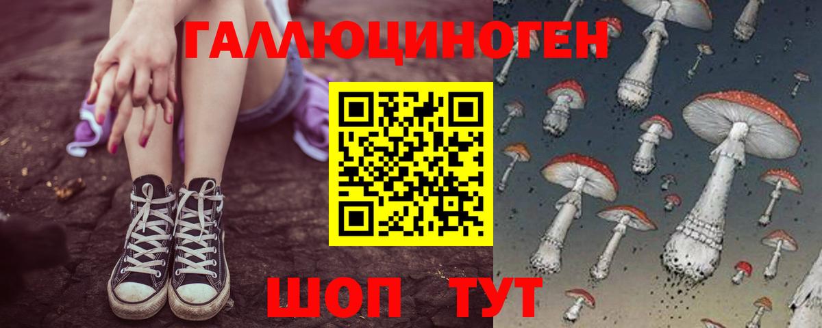 Псилоцибиновые грибы GOLDEN TEACHER Санкт-Петербург